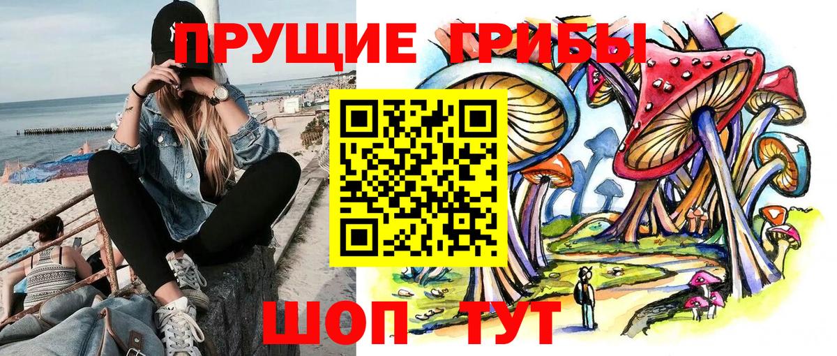 Галлюциногенные грибы Psilocybine cubensis  Вход с VPN  Хасавюрт 
