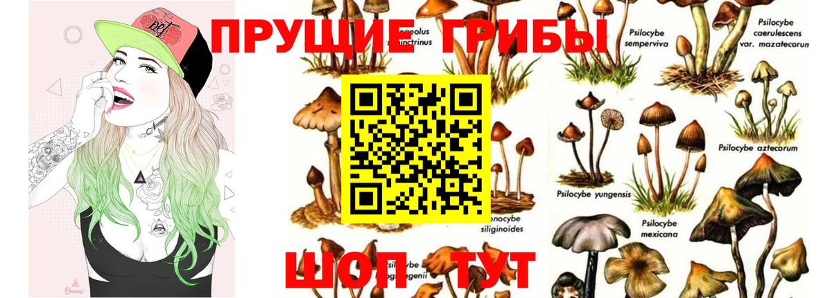 МАРИХУАНА  COCAIN  Гашиш  Хасавюрт  Вход с VPN  Меф МЯУ МЯУ   ГАШИШ  Мефедрон 